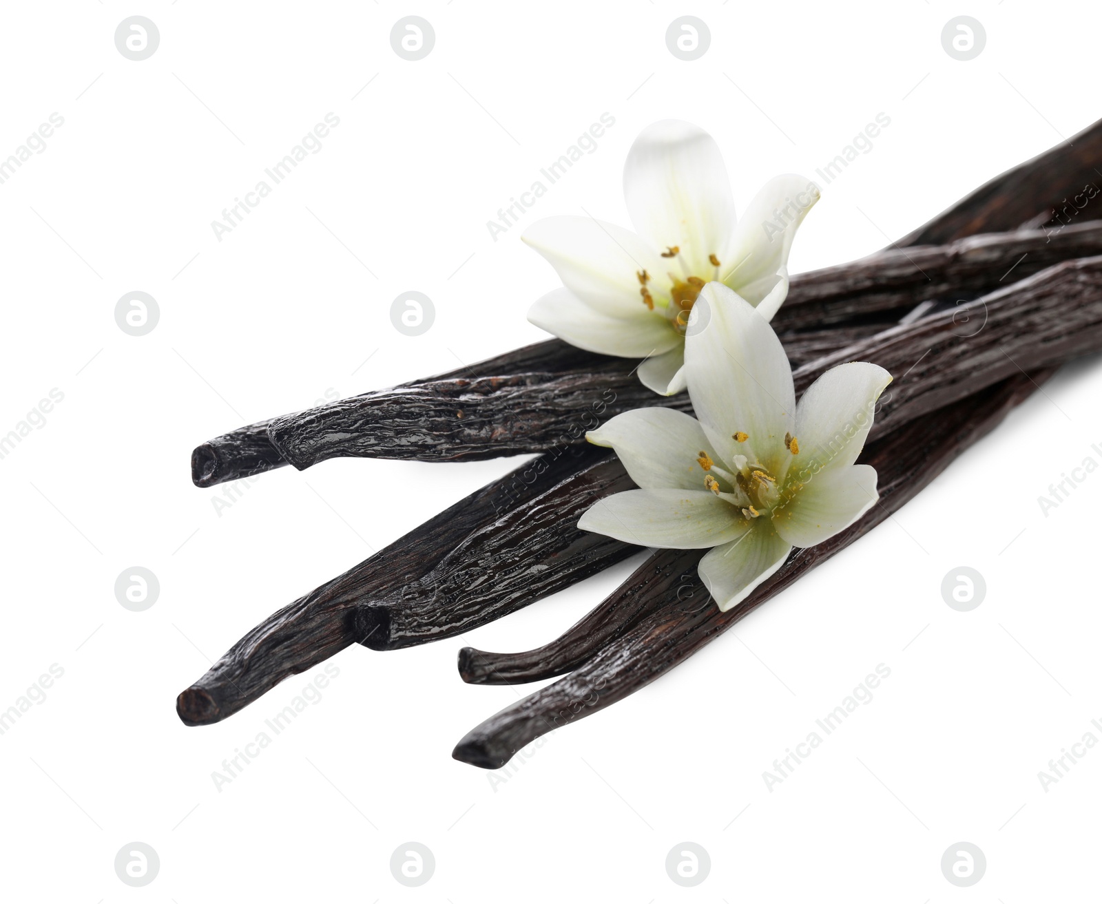 Photo of Vanilla pods and flowers isolated on white