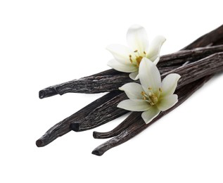 Photo of Vanilla pods and flowers isolated on white