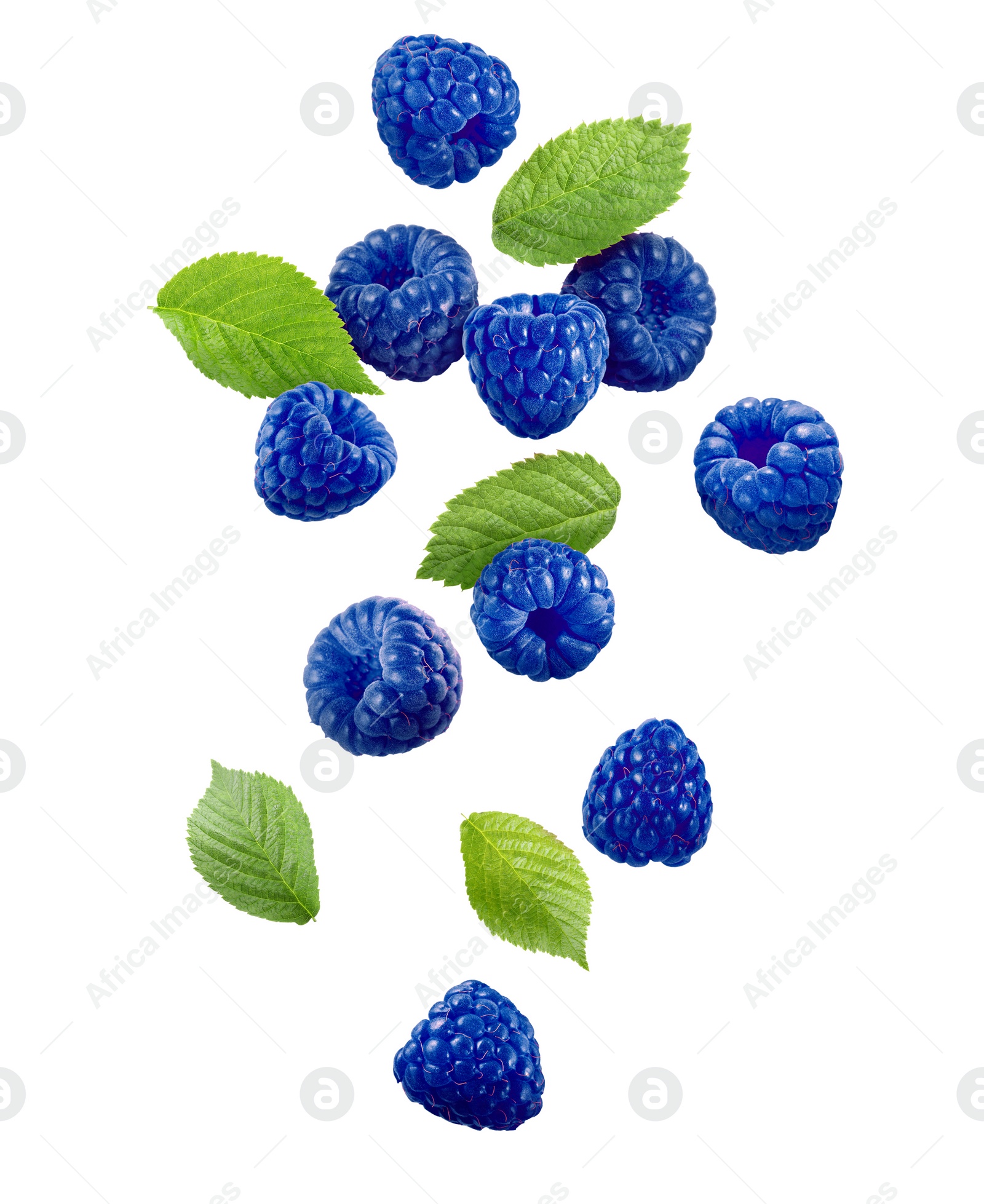 Image of Many fresh blue raspberries and green leaves falling on white background