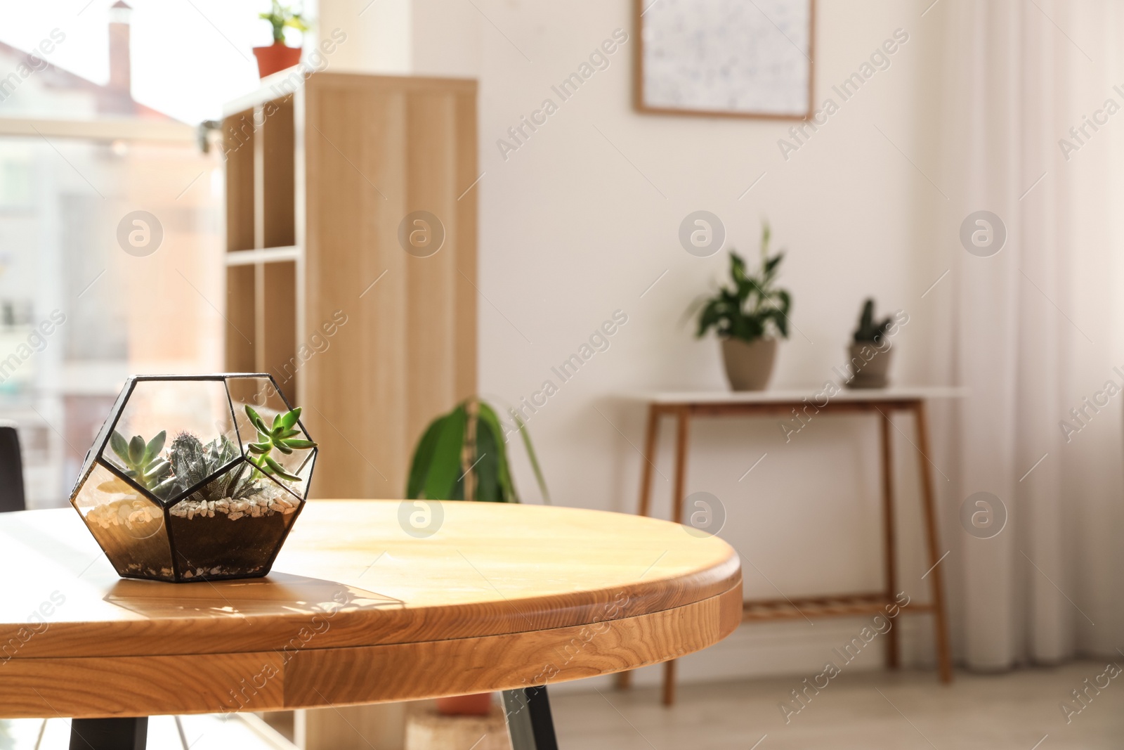 Photo of Succulents in florarium on table indoors, space for text. Trendy home interior with plants