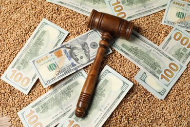 Dollar banknotes, wooden gavel and wheat grains on table, top view. Agricultural business