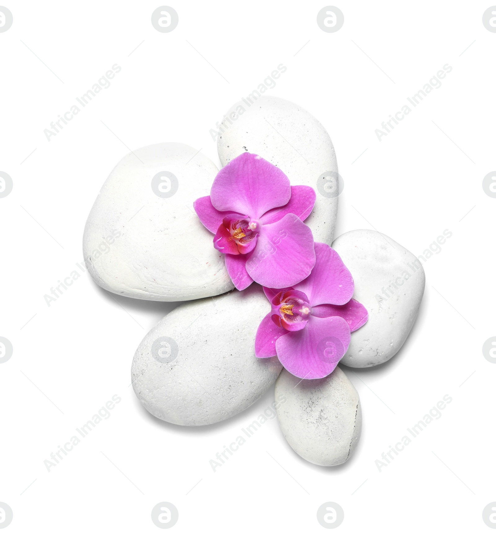 Photo of Spa stones with orchid flowers on white background, top view