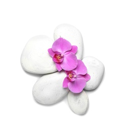 Photo of Spa stones with orchid flowers on white background, top view