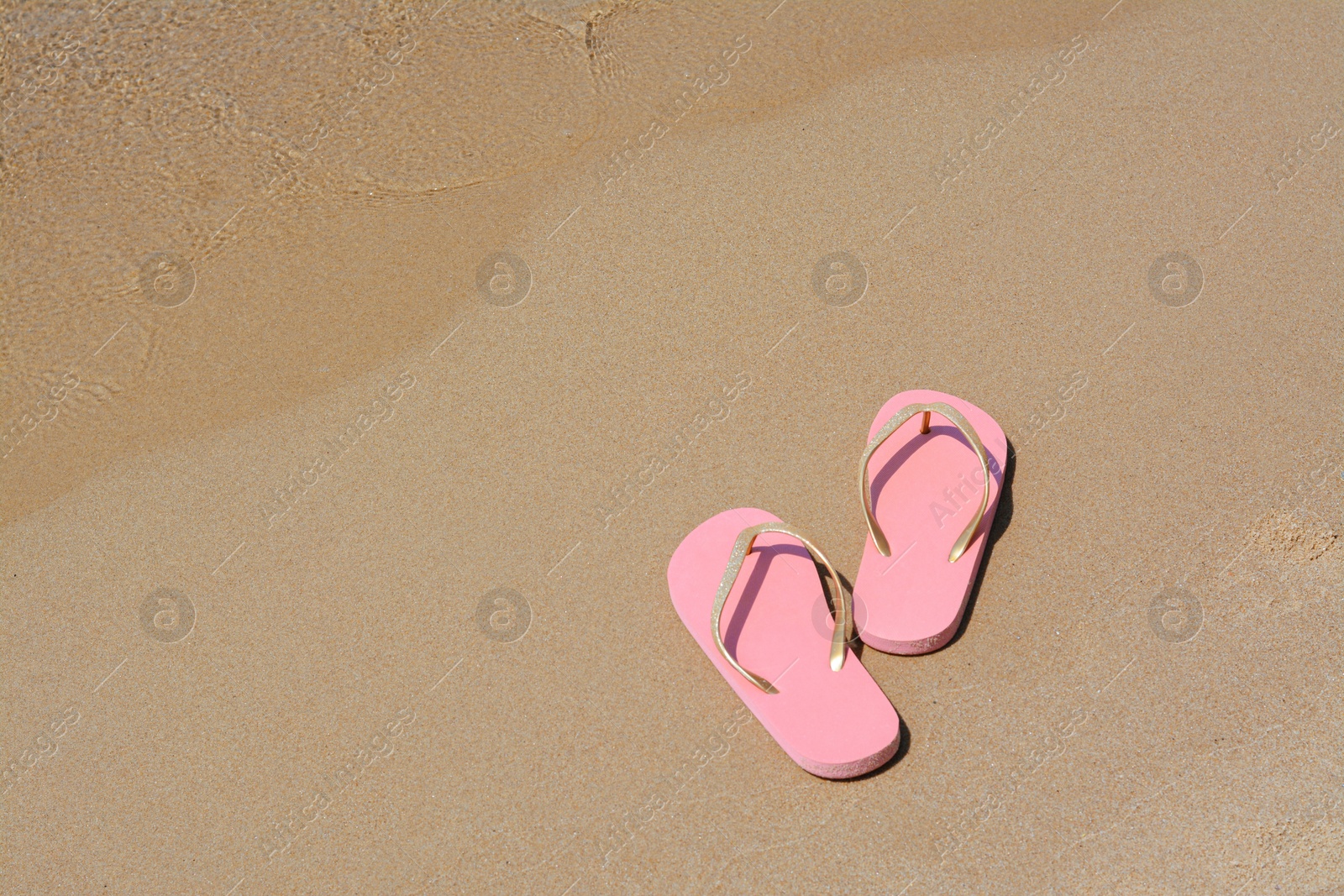 Photo of Stylish pink flip flops on wet sand near sea, space for text