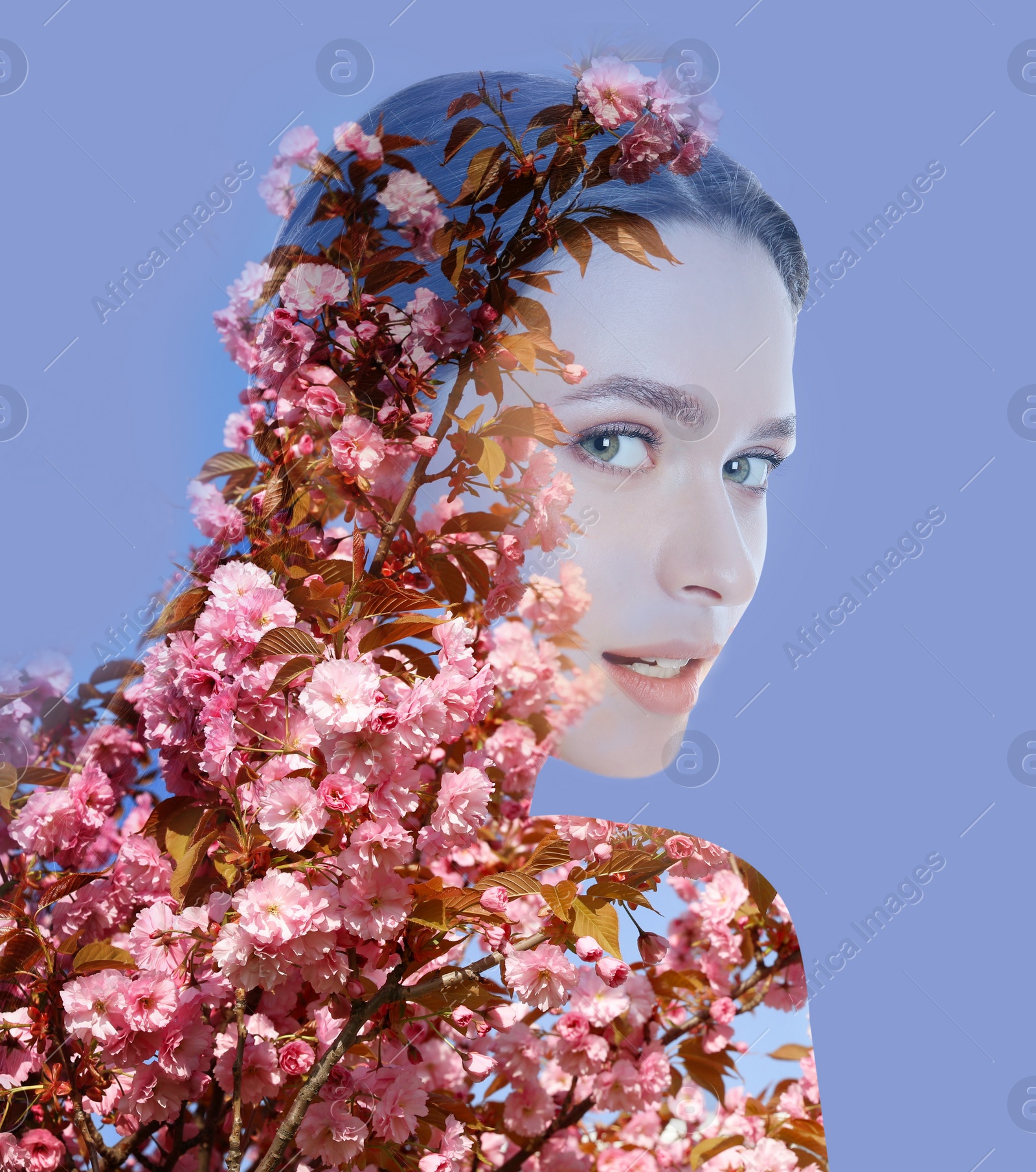 Image of Double exposure of beautiful woman and blooming flowers on blue background