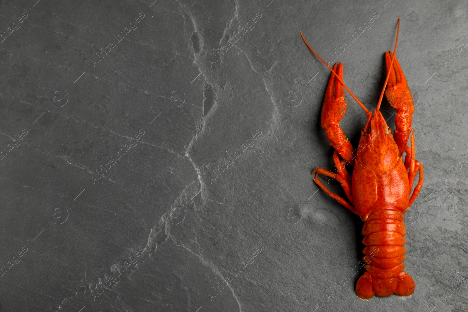 Photo of Delicious boiled crayfish on black table, top view. Space for text