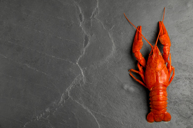 Delicious boiled crayfish on black table, top view. Space for text