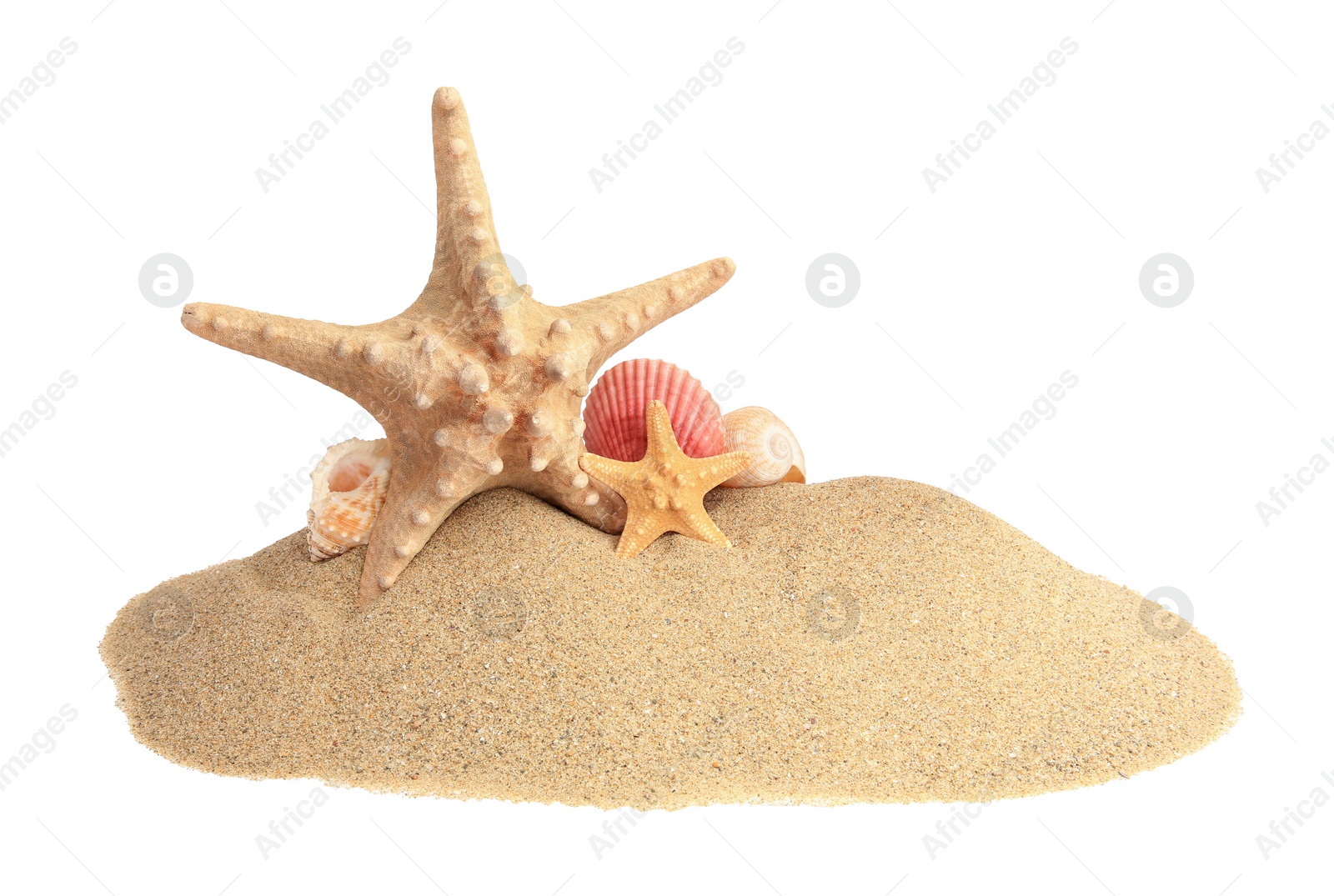 Photo of Beautiful sea stars and seashells in sand isolated on white