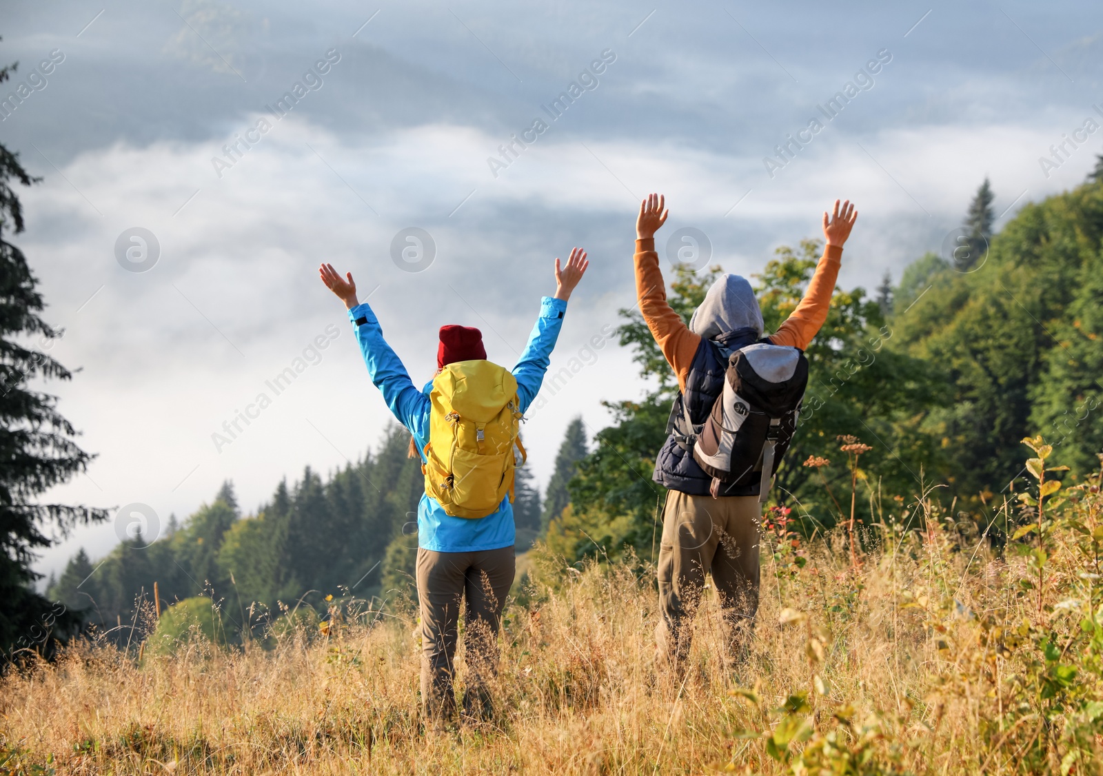 Photo of Tourists with backpacks in mountains, back view