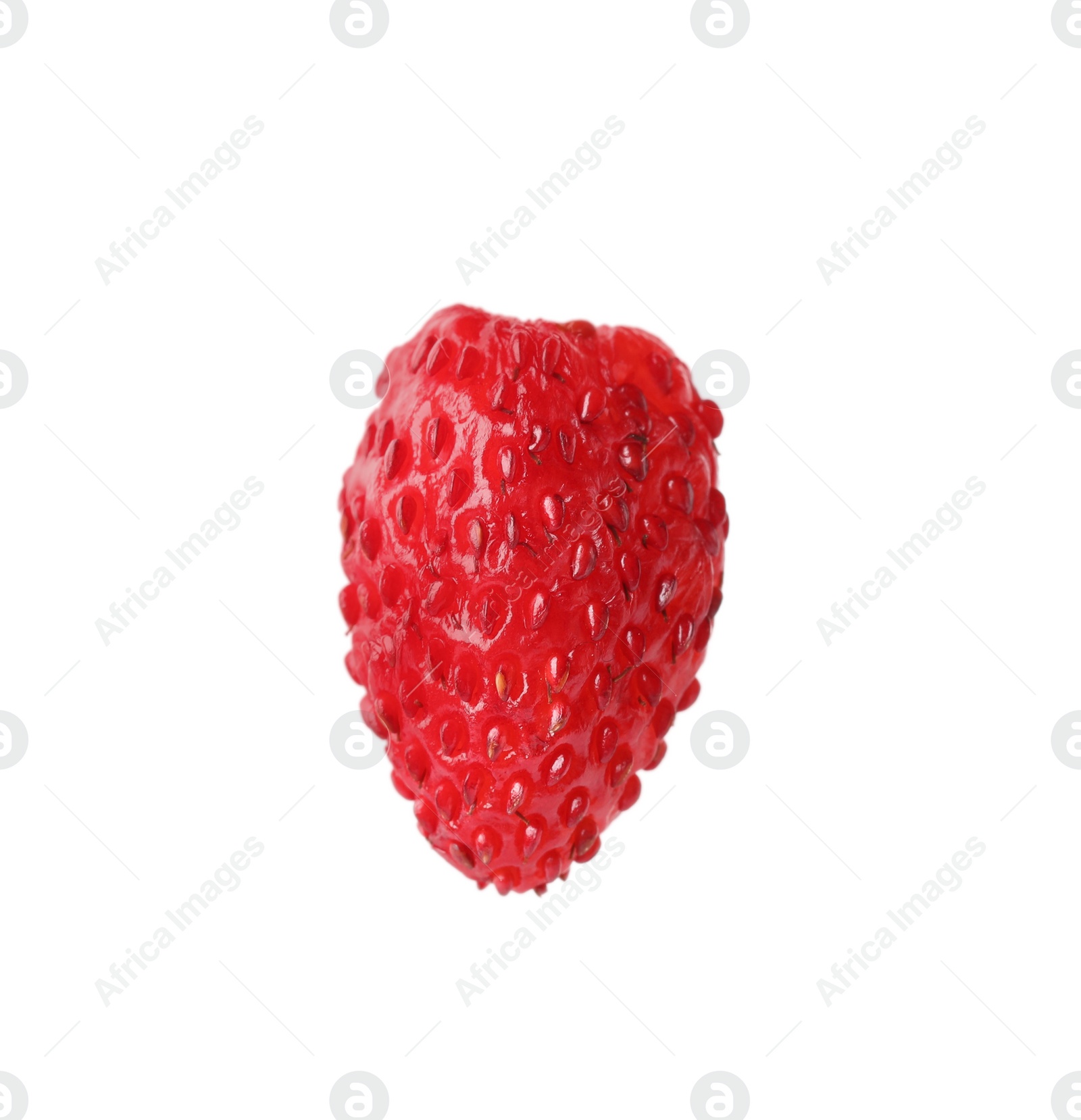 Photo of One ripe wild strawberry isolated on white