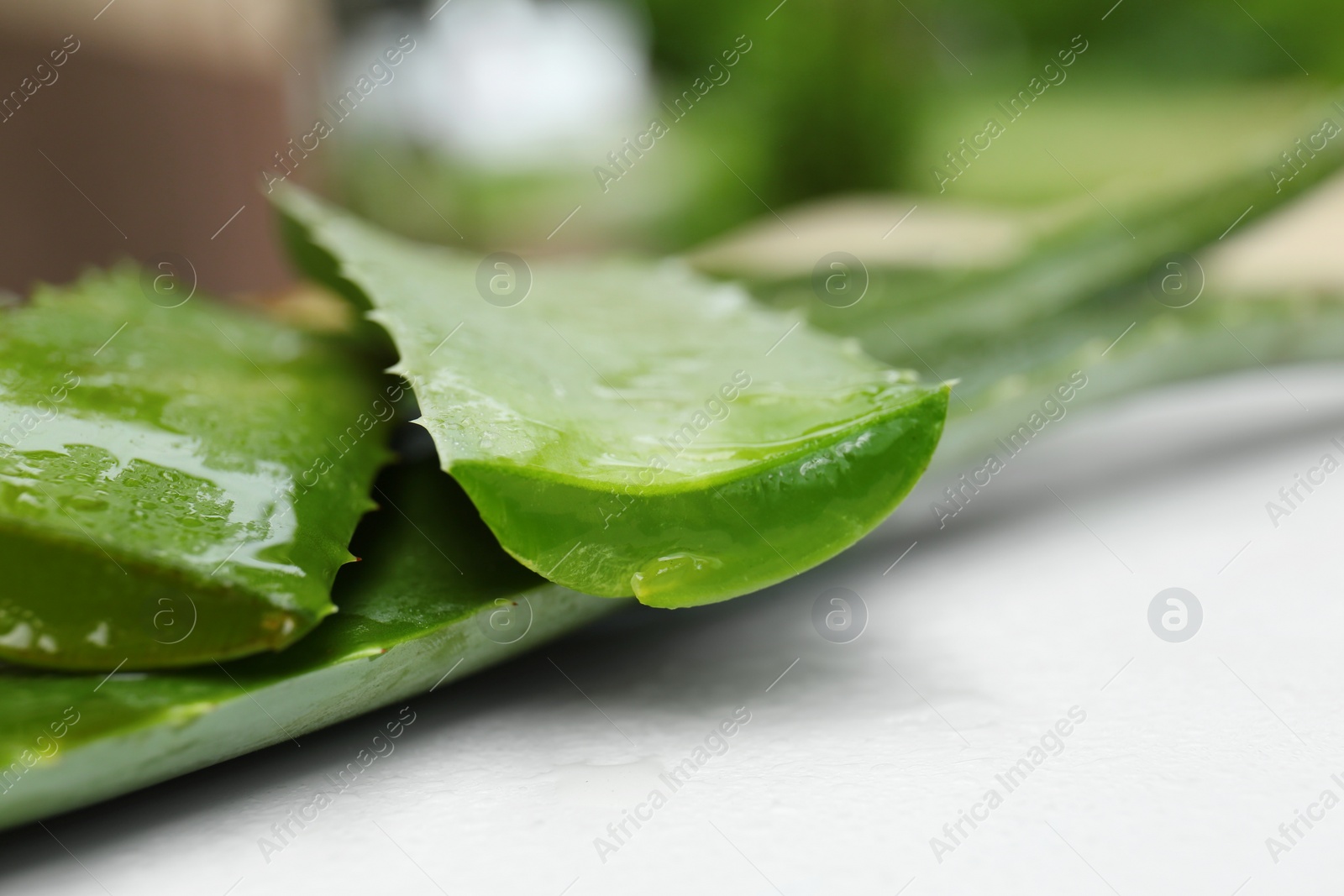 Photo of Fresh cut juicy aloe vera leaves on white table, closeup