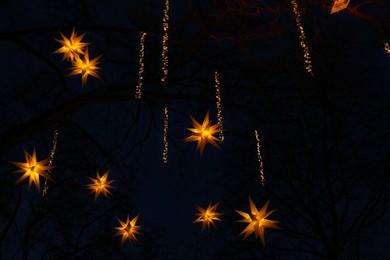 Photo of Beautiful Christmas lights hanging from trees in evening, low angle view