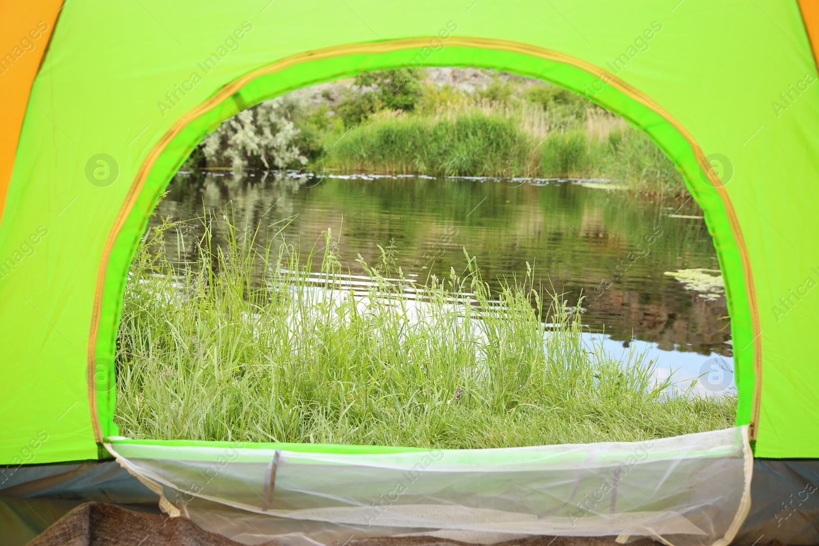 Photo of Green grass and picturesque pond, view from camping tent