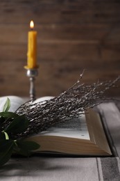 Photo of Bible, willow branches and burning candle on table, closeup