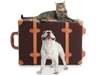 Image of Cute dog and cat with old fashioned suitcase packed for journey on white background. Travelling with pet