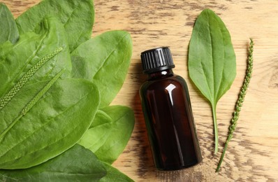 Photo of Bottle of broadleaf plantain extract and leaves on wooden table, flat lay