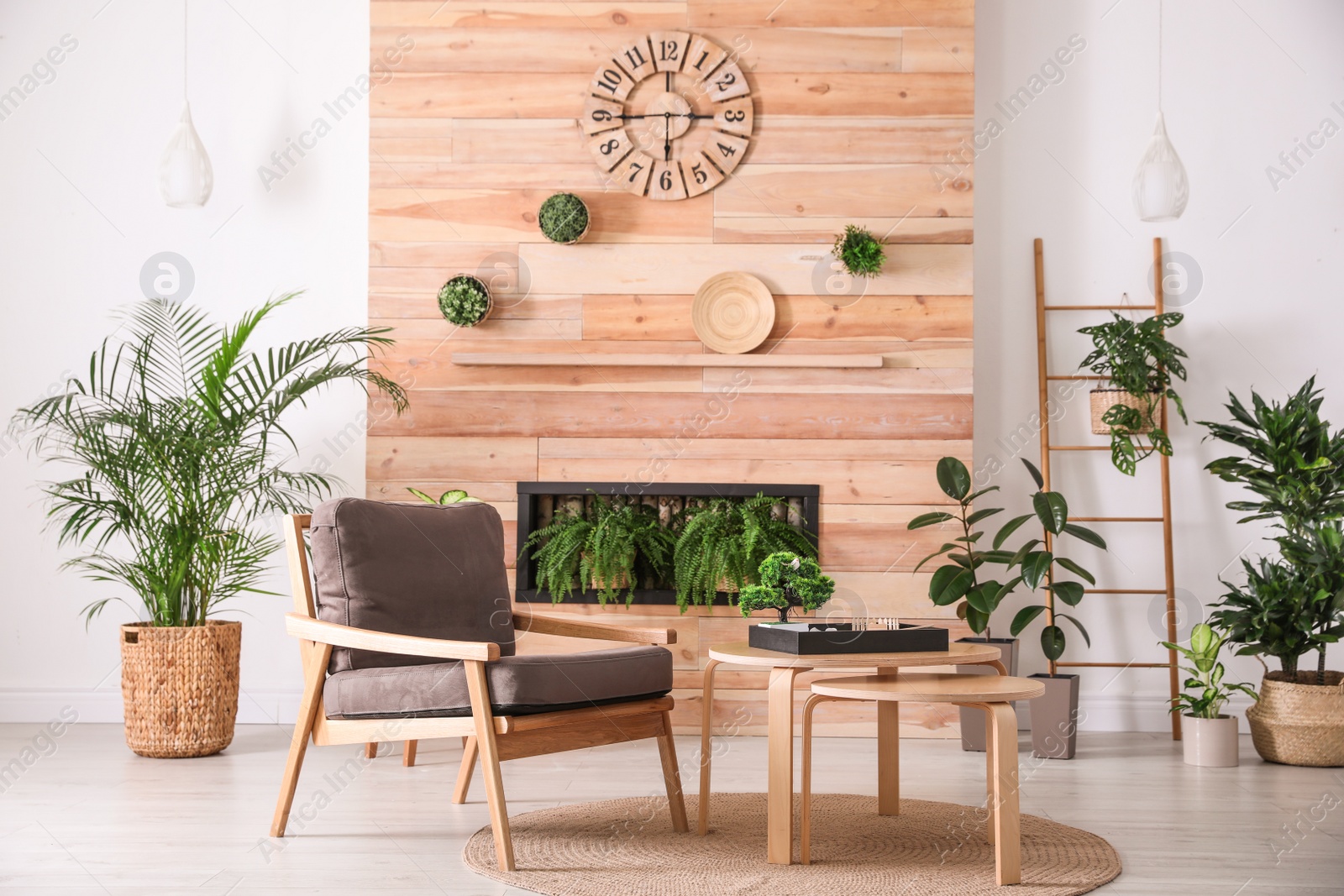 Photo of Stylish living room interior with armchair, green plants and miniature zen garden. Home design ideas