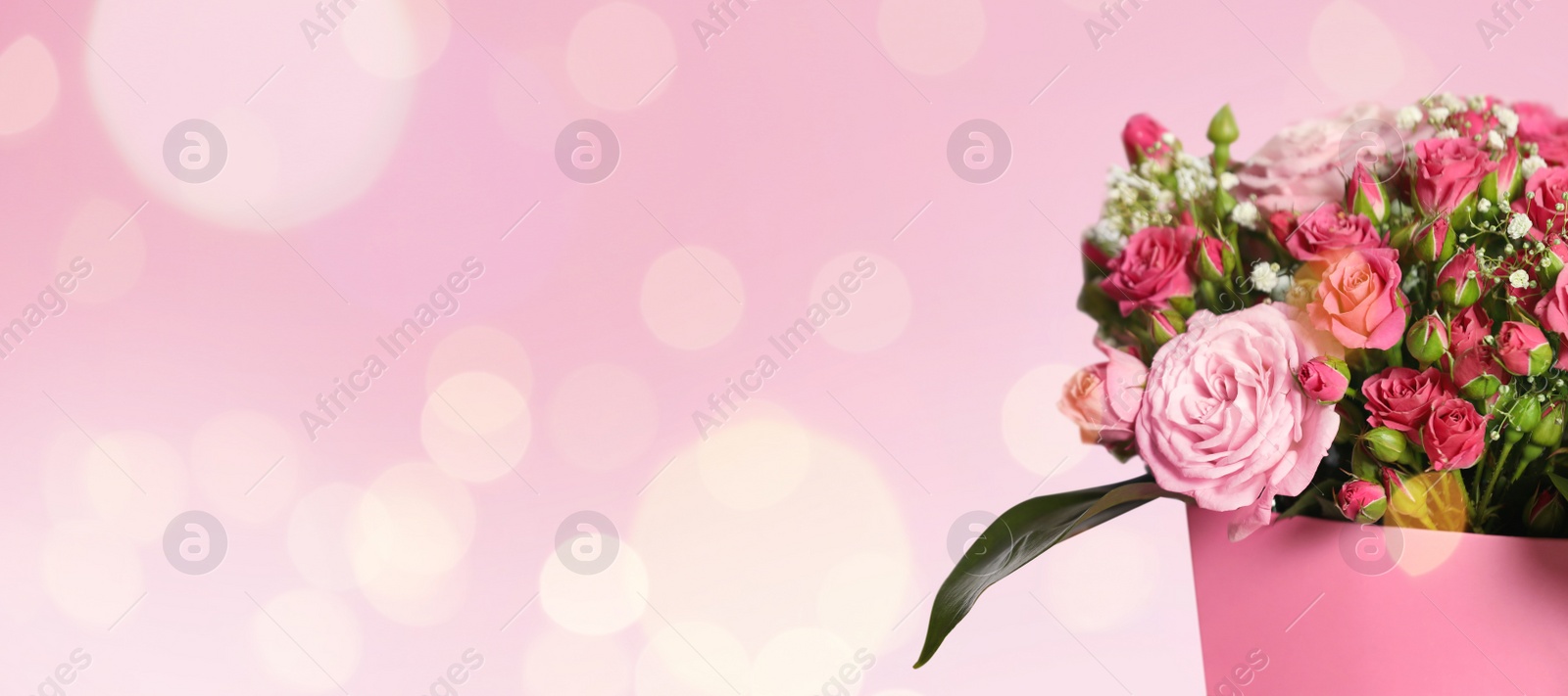 Image of Bouquet of beautiful flowers on pink background, space for text. Banner design