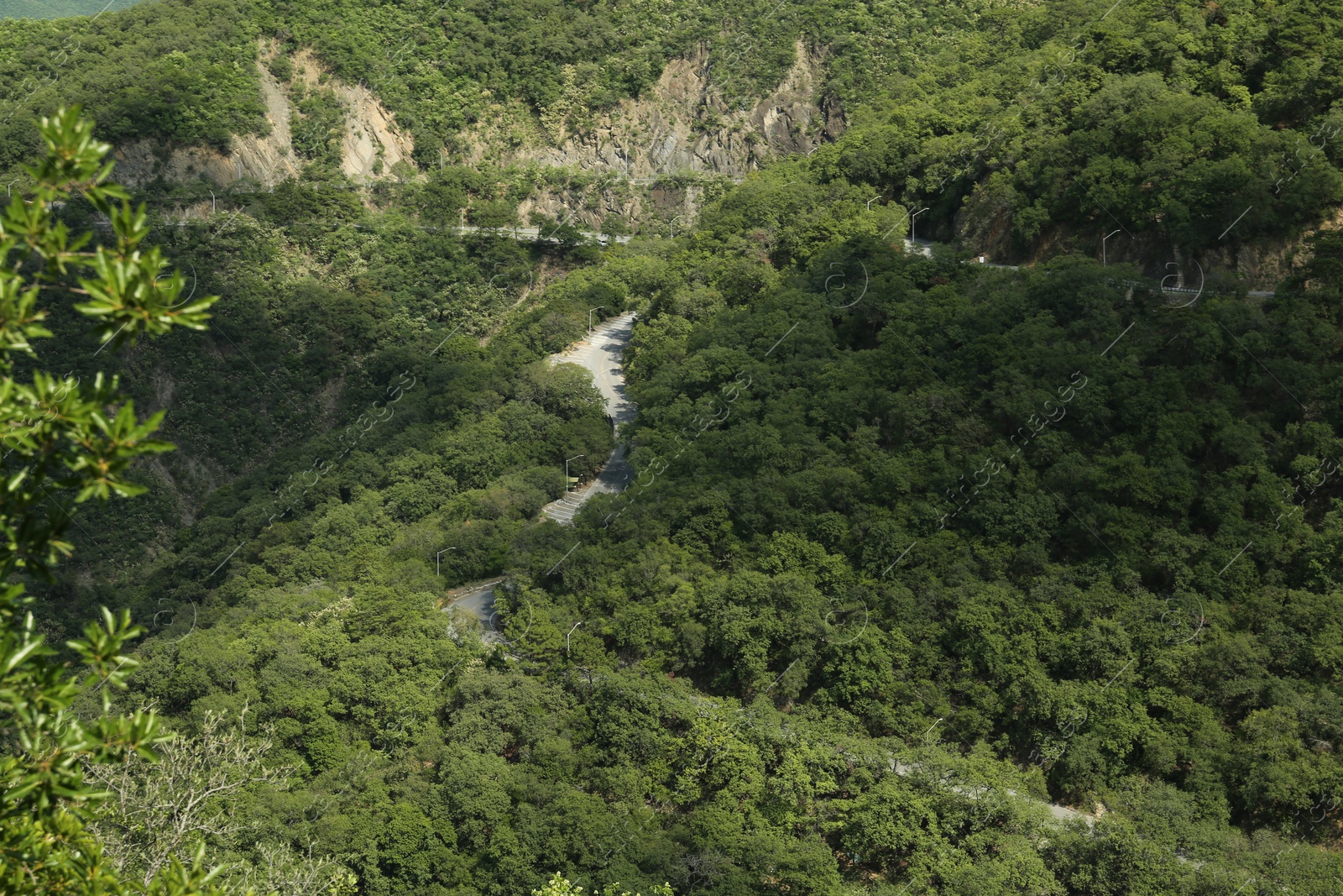 Photo of Road between trees near mountains in forest