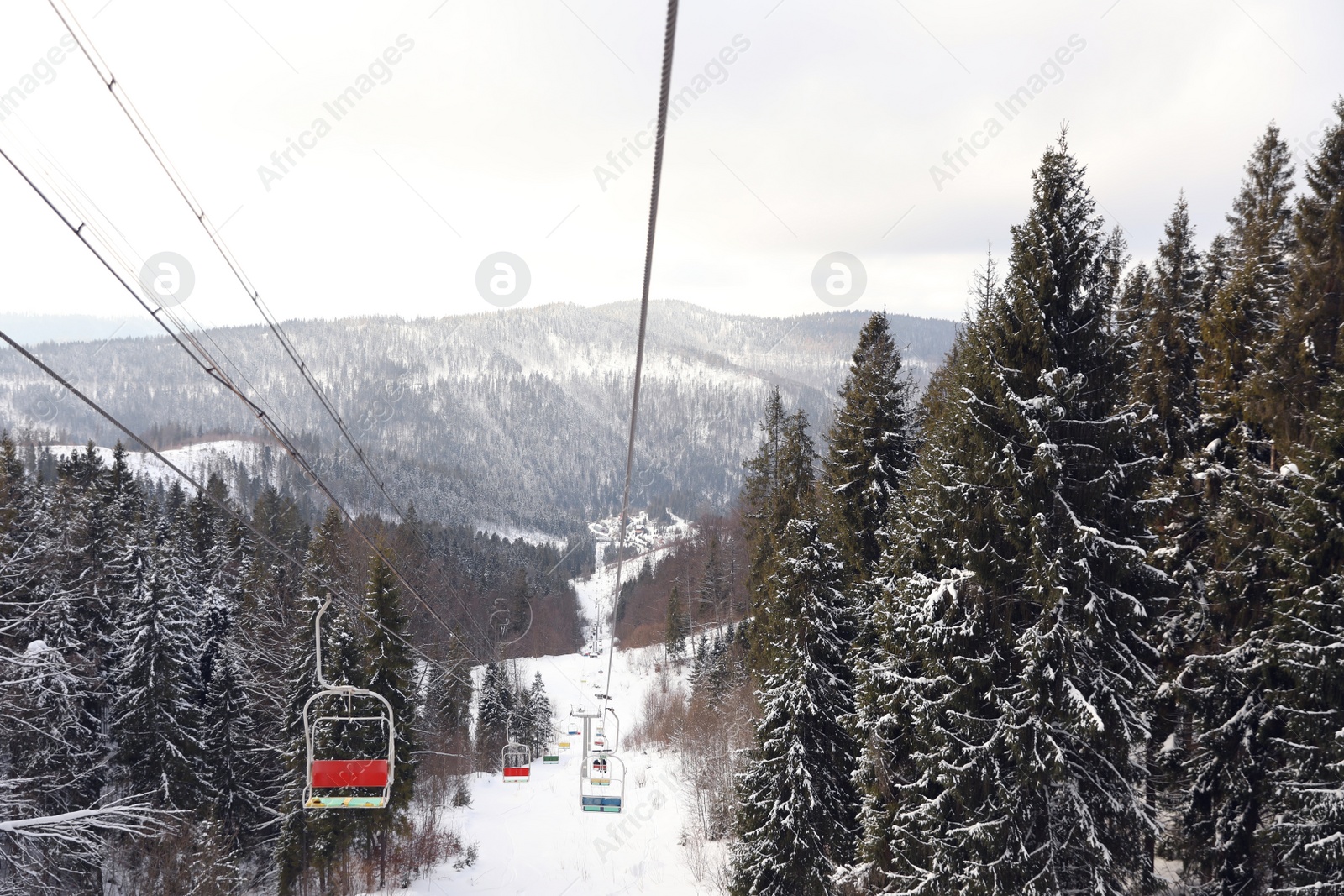Photo of Picturesque mountain landscape with snowy forest in winter, view from ski lift