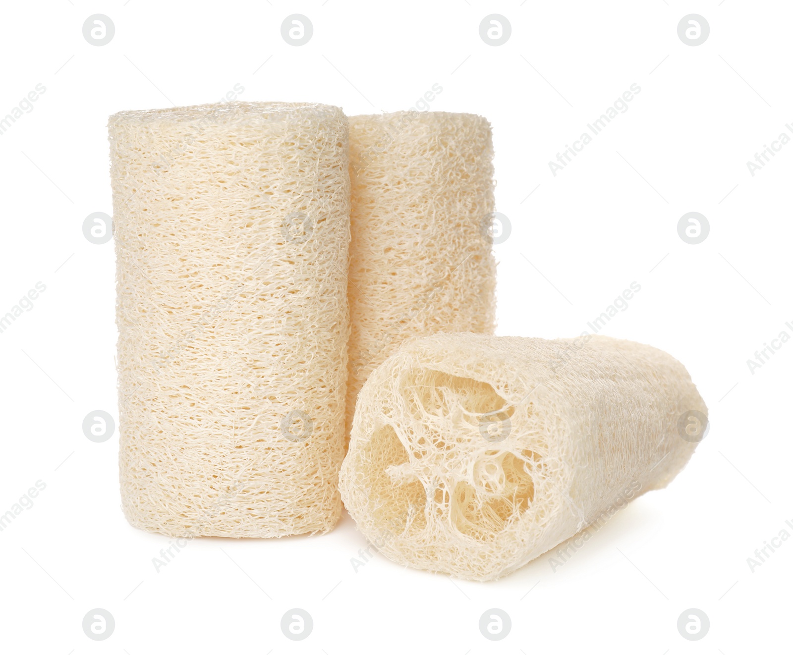 Photo of Natural shower loofah sponges on white background