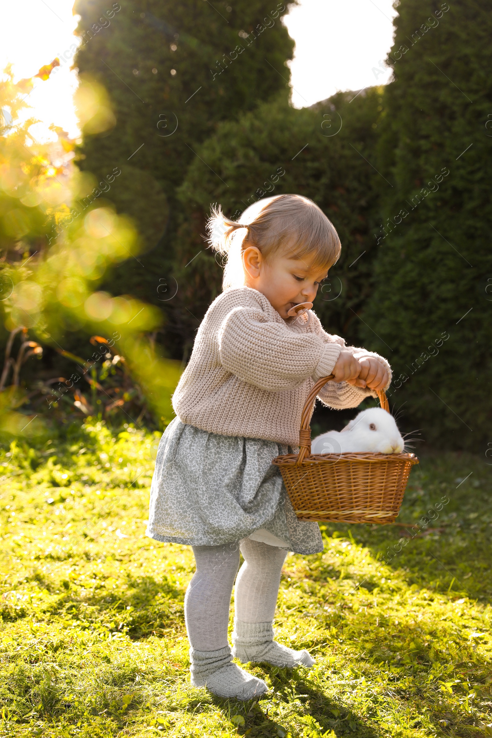 Photo of Cute little girl holding wicker basket with adorable rabbit outdoors on sunny day