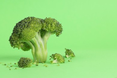 Fresh raw broccoli on light green background. Space for text