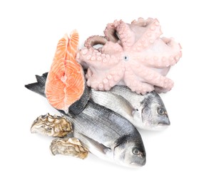 Photo of Fresh dorado fish, octopus, oysters and salmon on white background, top view