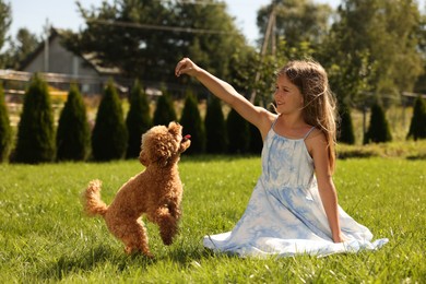 Beautiful girl playing with cute Maltipoo dog on green lawn in park