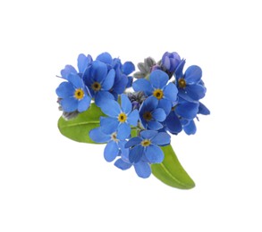 Photo of Heart made with blue Forget-me-not flowers isolated on white