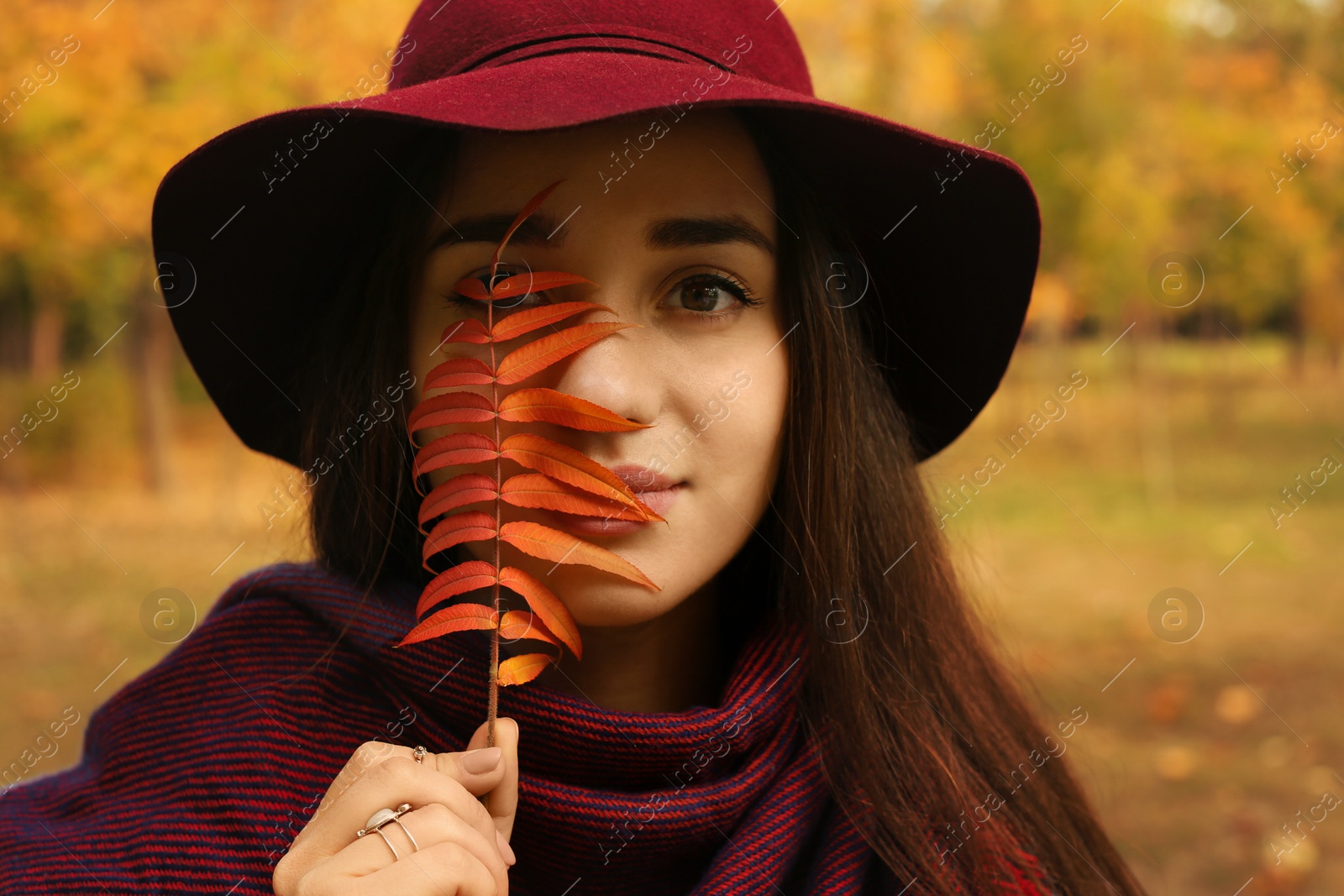 Photo of Young beautiful woman with hat and leaf in park. Autumn walk