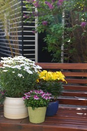 Many different beautiful blooming plants in flowerpots on wooden bench outdoors