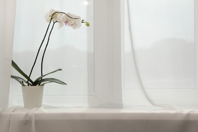 Photo of Blooming white orchid flower in pot on windowsill, space for text