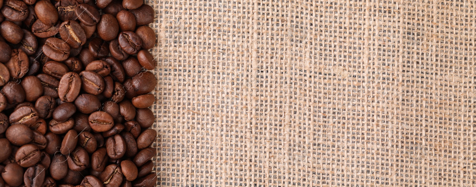 Photo of Many coffee beans on burlap fabric, top view. Space for text