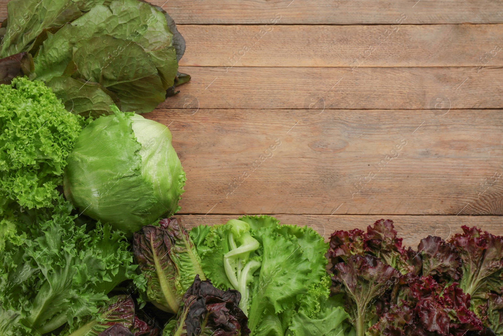 Photo of Different sorts of lettuce on wooden table, flat lay. Space for text