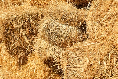 Photo of Many dried hay bales as background, closeup view