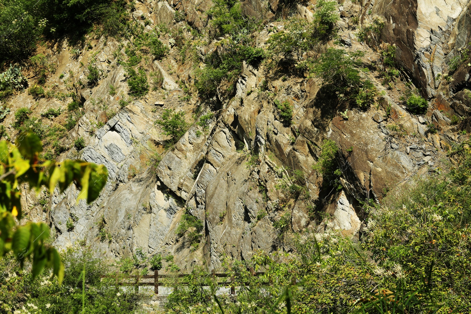 Photo of Beautiful mountains with plants and bushes outdoors