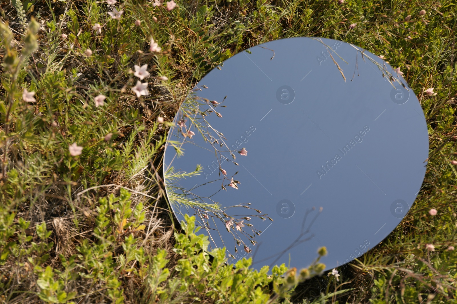 Photo of Spring atmosphere. Round mirror among grass and flowers on sunny day. Space for text