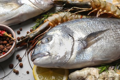Photo of Fresh raw dorado fish, shrimps and spices on light grey table, closeup