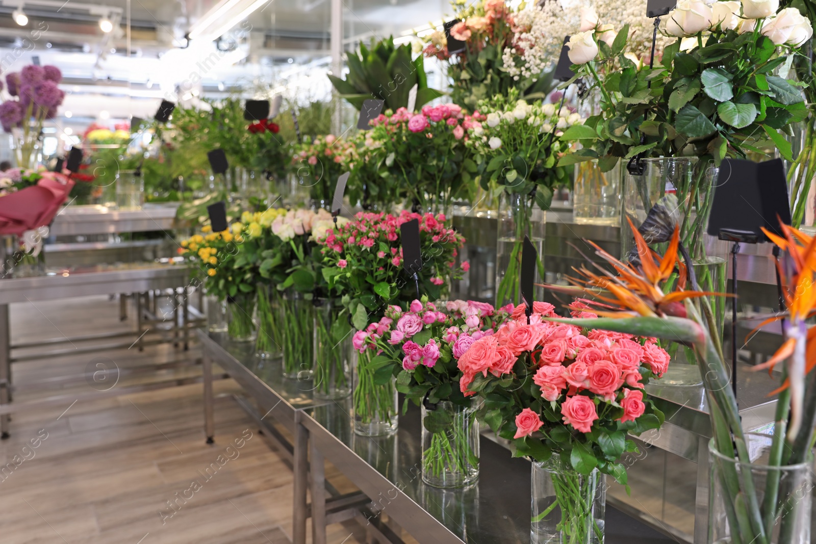 Photo of Assortment of beautiful flowers in shop. Florist's workplace