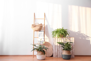 Photo of Beautiful plants in wicker pots near white wall indoors. Interior design idea