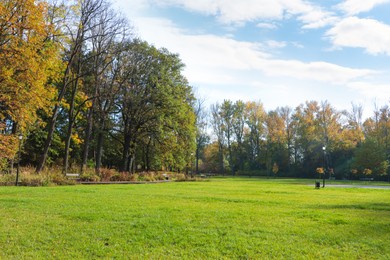 Picturesque view of park with beautiful trees and green grass on sunny day. Autumn season