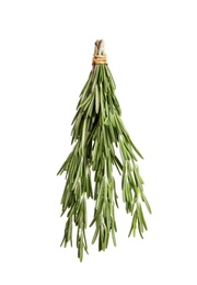 Fresh rosemary twigs hanging on white background