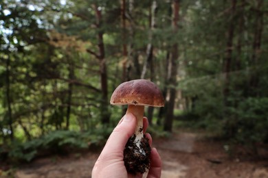 Photo of Woman holding beautiful mushroom in forest, closeup