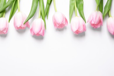 Beautiful pink spring tulips on white background, top view. Space for text