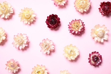 Photo of Flat lay composition with beautiful flowers on pink  background