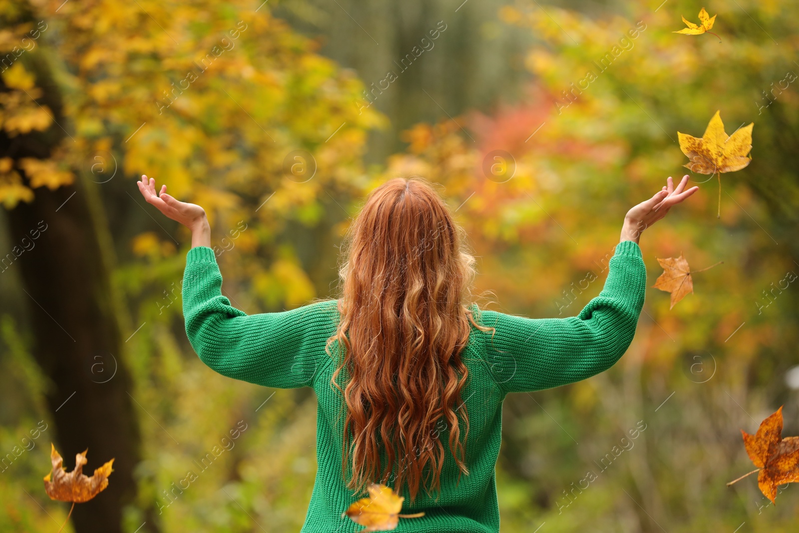 Photo of Autumn vibes. Woman throwing leaves up in park, back view