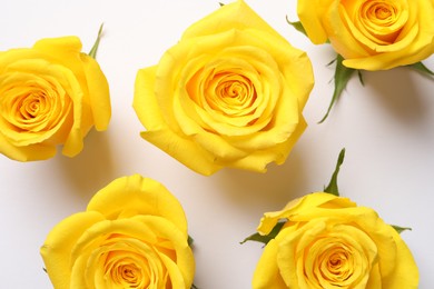 Photo of Beautiful yellow roses on white background, flat lay