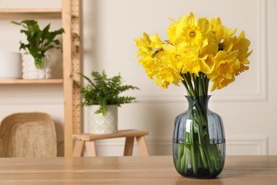 Photo of Beautiful daffodils in vase on wooden table indoors, space for text