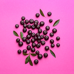 Fresh acai berries and green leaves on pink background, flat lay